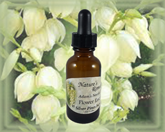 Adam's Needle/ Yucca Flower Essence - Nature's Remedies