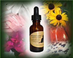 Kick-the-Habit Flower Essence - Crystal Essence - Nature's Remedies