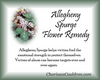 Allegheny Spurge Flower Essence