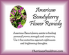 American Beautyberry Flower Essence