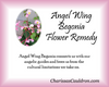 Angel Wing Begonia Flower Essence