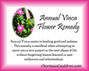 Annual Vinca Flower Essence