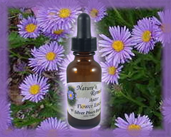 Aster Flower Essence - Nature's Remedies