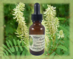 Astragalus Flower Essence - Nature's Remedies