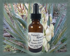 Banana Yucca Flower Essence - Nature's Remedies