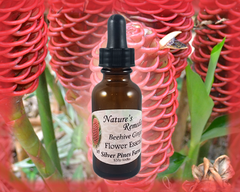 Beehive Ginger Flower Essence - Nature's Remedies