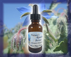 Borage Flower Essence - Nature's Remedies