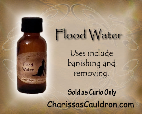 Charissa's Cauldron Flood Water