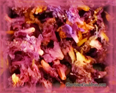 Pink Azalea Blooms - Dried
