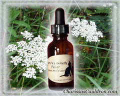 Queen Anne's Lace Flower Essence - Nature's Remedies
