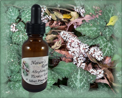 Allegheny Spurge Flower Essence - Nature's Remedies