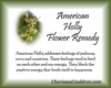 American Holly Flower Essence