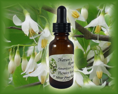American Snowbell Flower Essence - Nature's Remedies