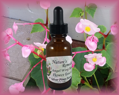 Angel Wing Begonia Flower Essence - Nature's Remedies