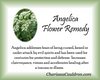 Angelica Flower Essence