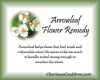 Arrowleaf Flower Essence