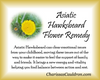 Asiatic Hawksbeard Flower Essence