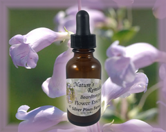 Beardtongue Flower Essence - Nature's Remedies