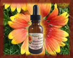 Blanketflower Flower Essence - Nature's Remedies