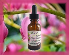 Bleeding Heart Flower Essence - Nature's Remedies
