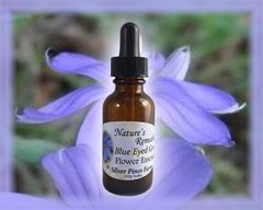 Blue Eyed Grass Flower Essence - Nature's Remedies