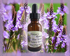 Blue Vervain Flower Essence - Nature's Remedies