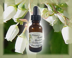 Blueberry Flower Essence - Nature's Remedies