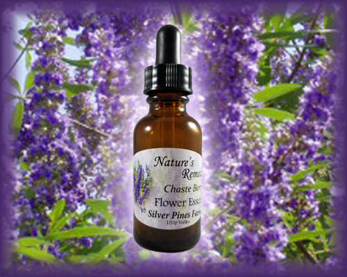 Chaste Berry Flower Essence - Nature's Remedies