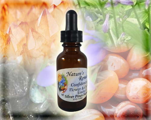 Confidence Flower Crystal Essence - Nature's Remedies